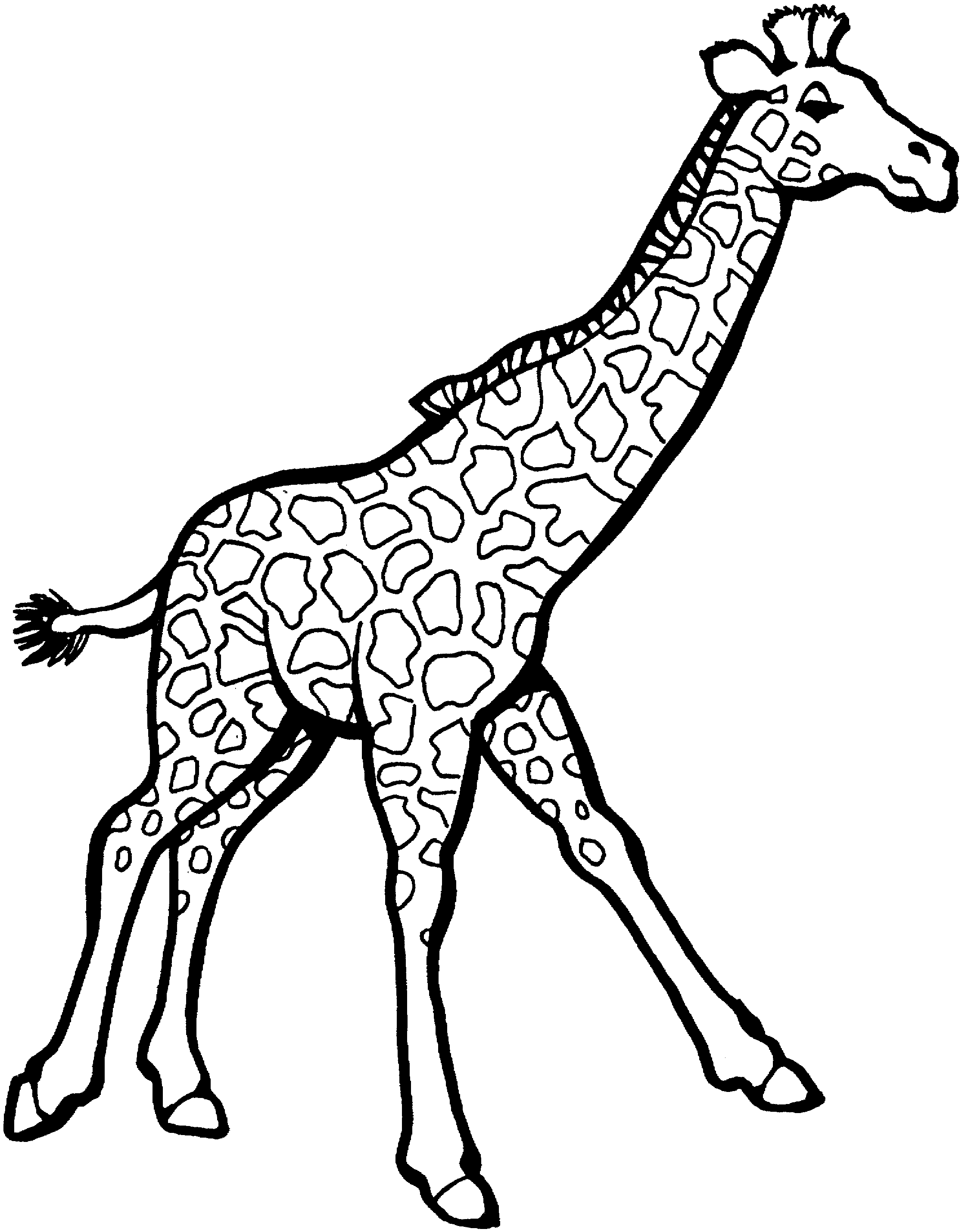 Free Wild Animal Coloring Pages Giraffe 8