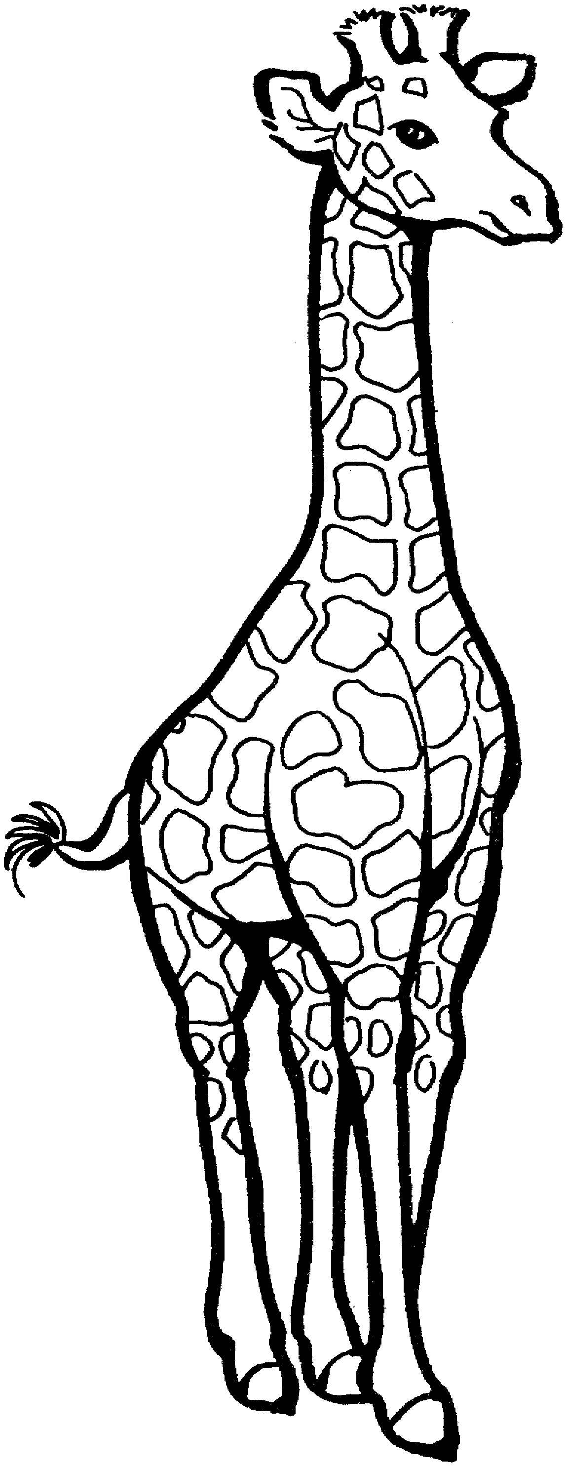 Giraffe And Baby Coloring Pages 8