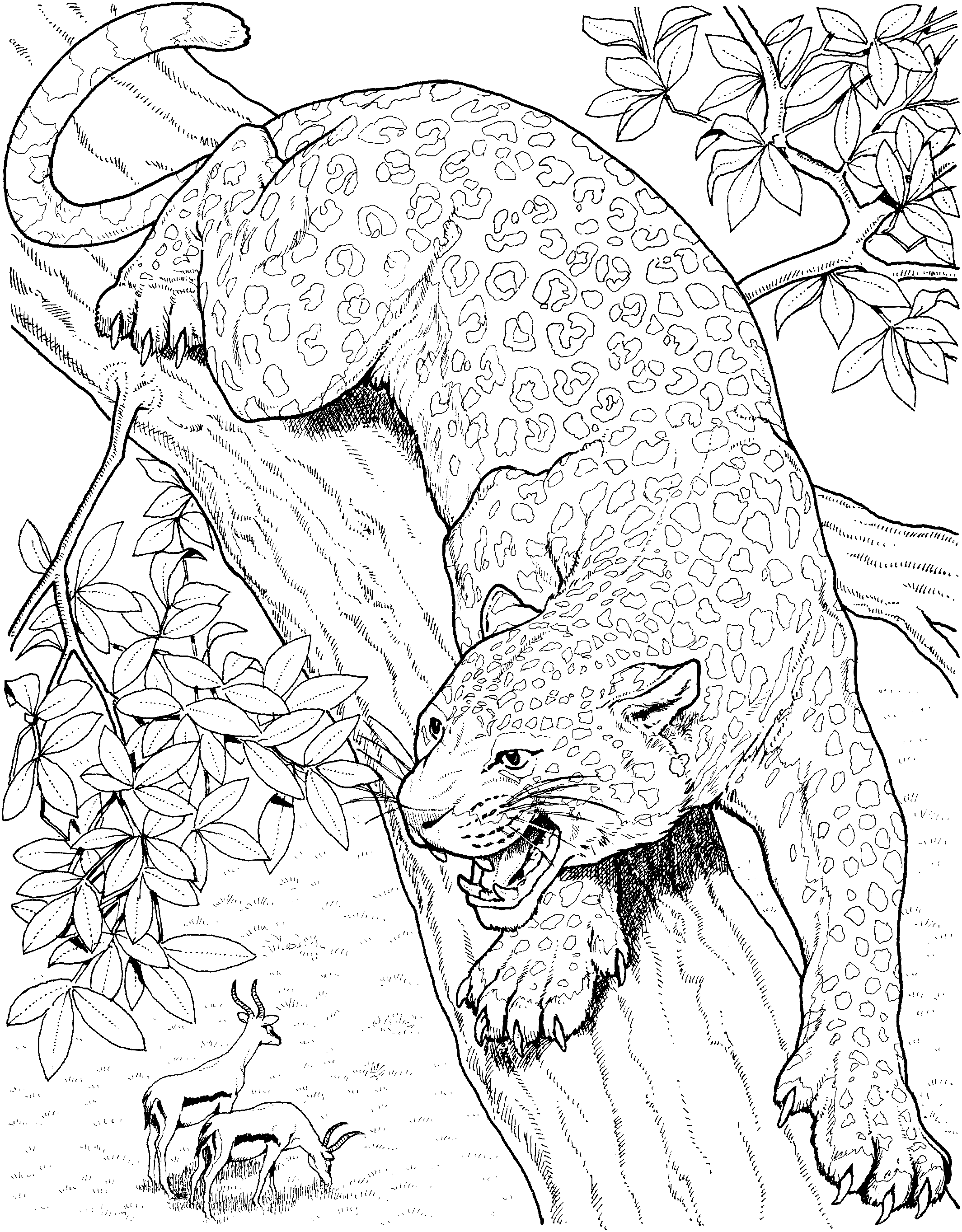 Realistic Leopard Coloring Pages 6