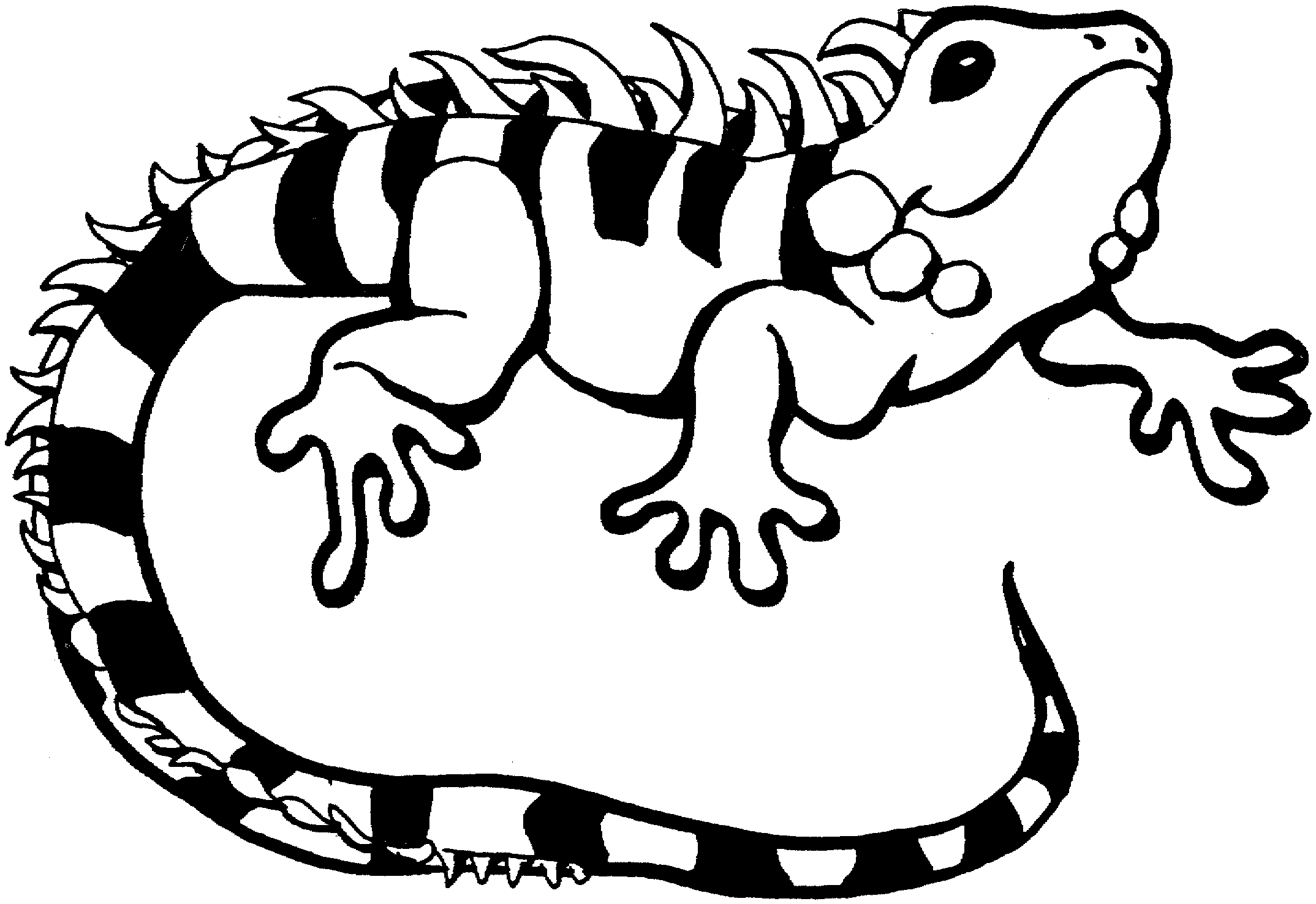 Lizard Coloring Pages 3