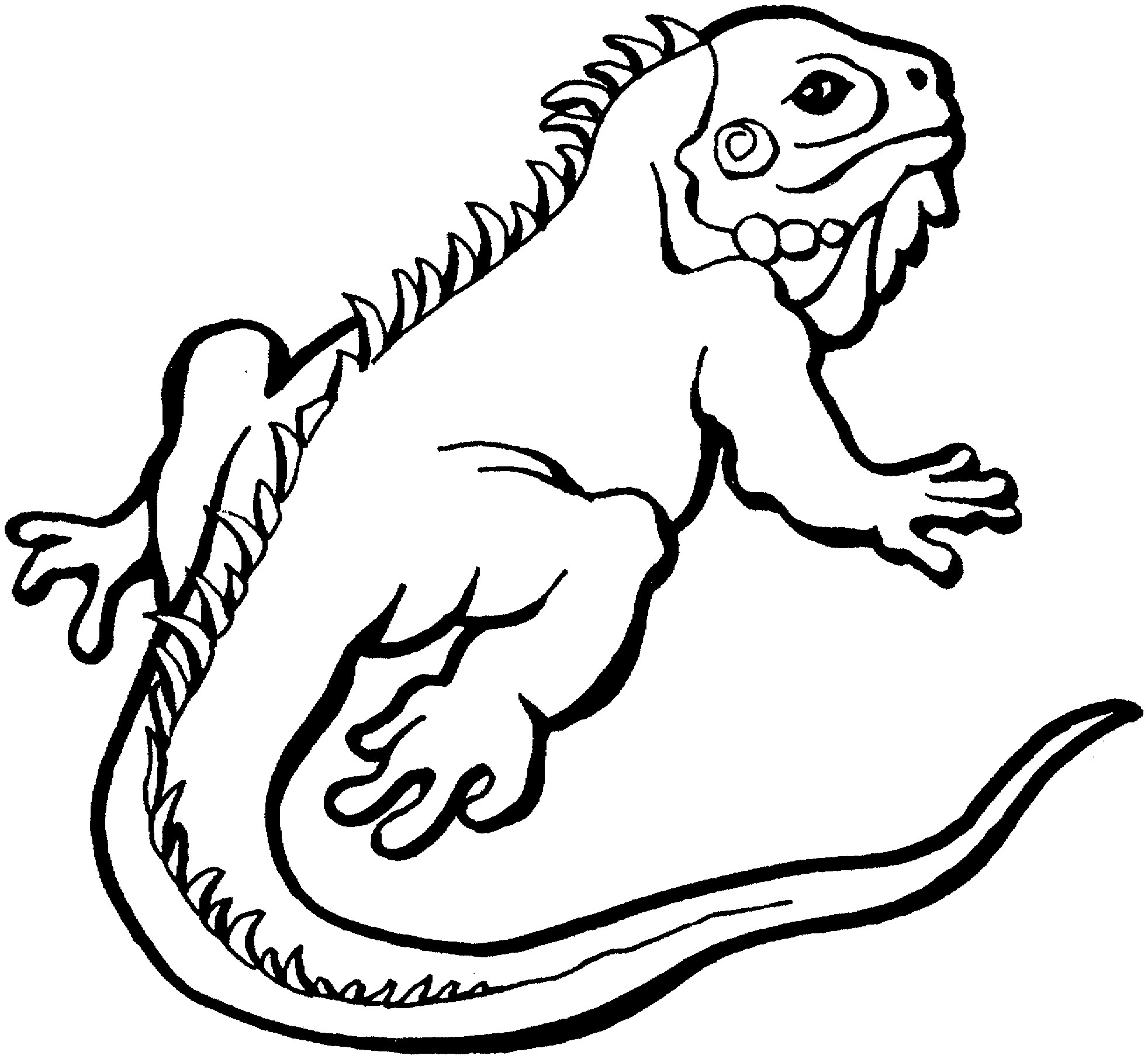 Lizard Coloring Pages 6