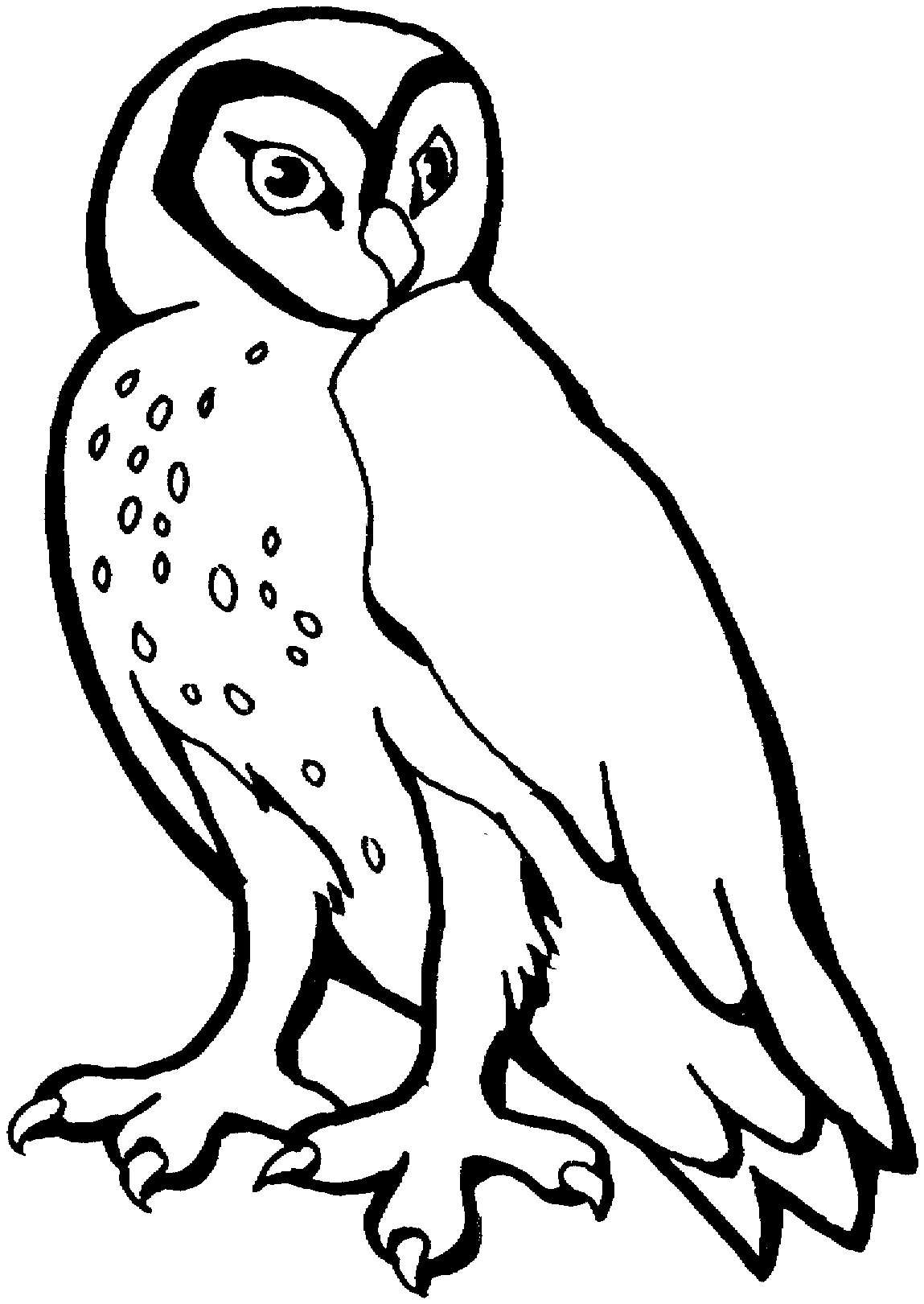 Printable Owl Coloring Pages - Printable Blank World