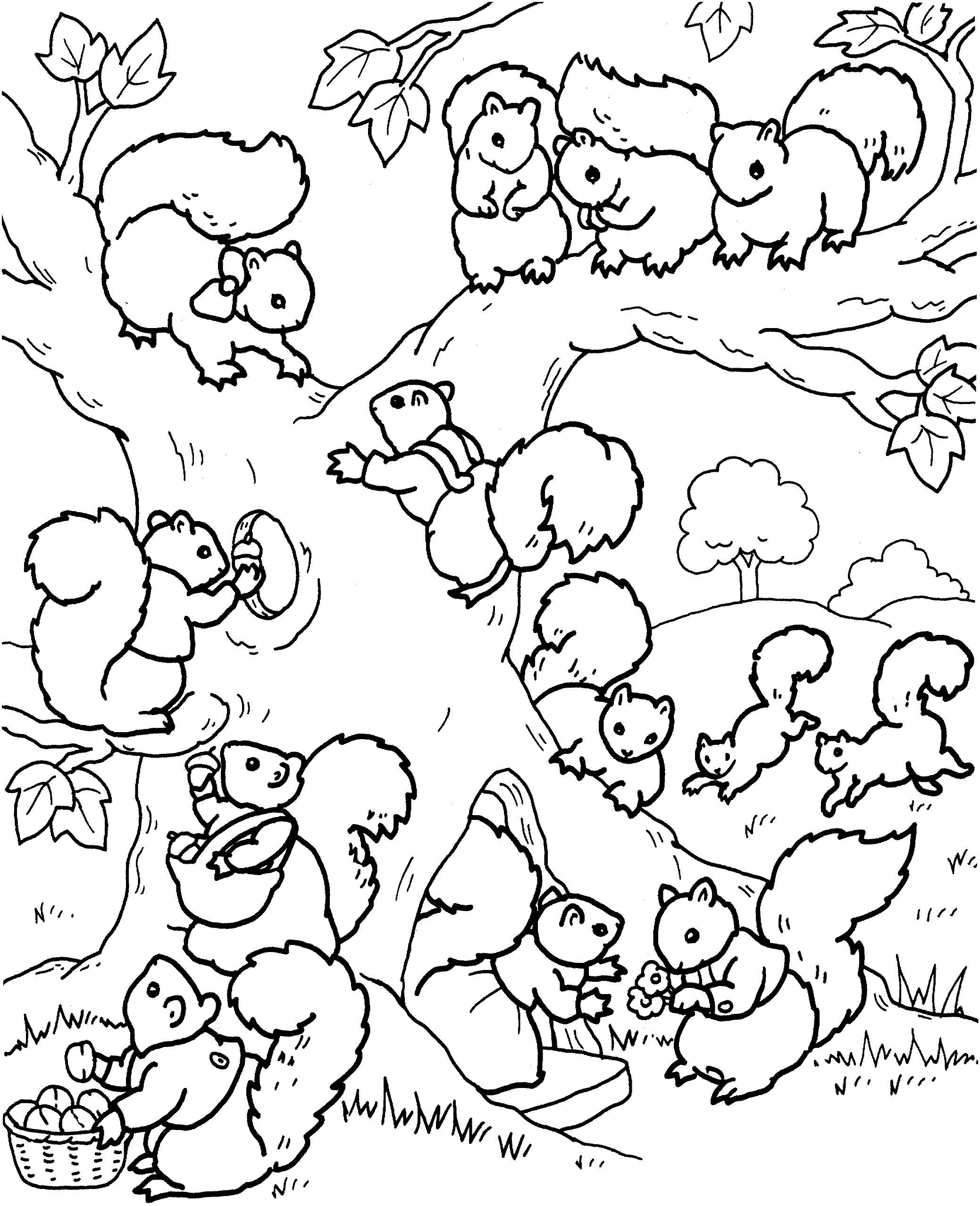 free squirrel coloring pages