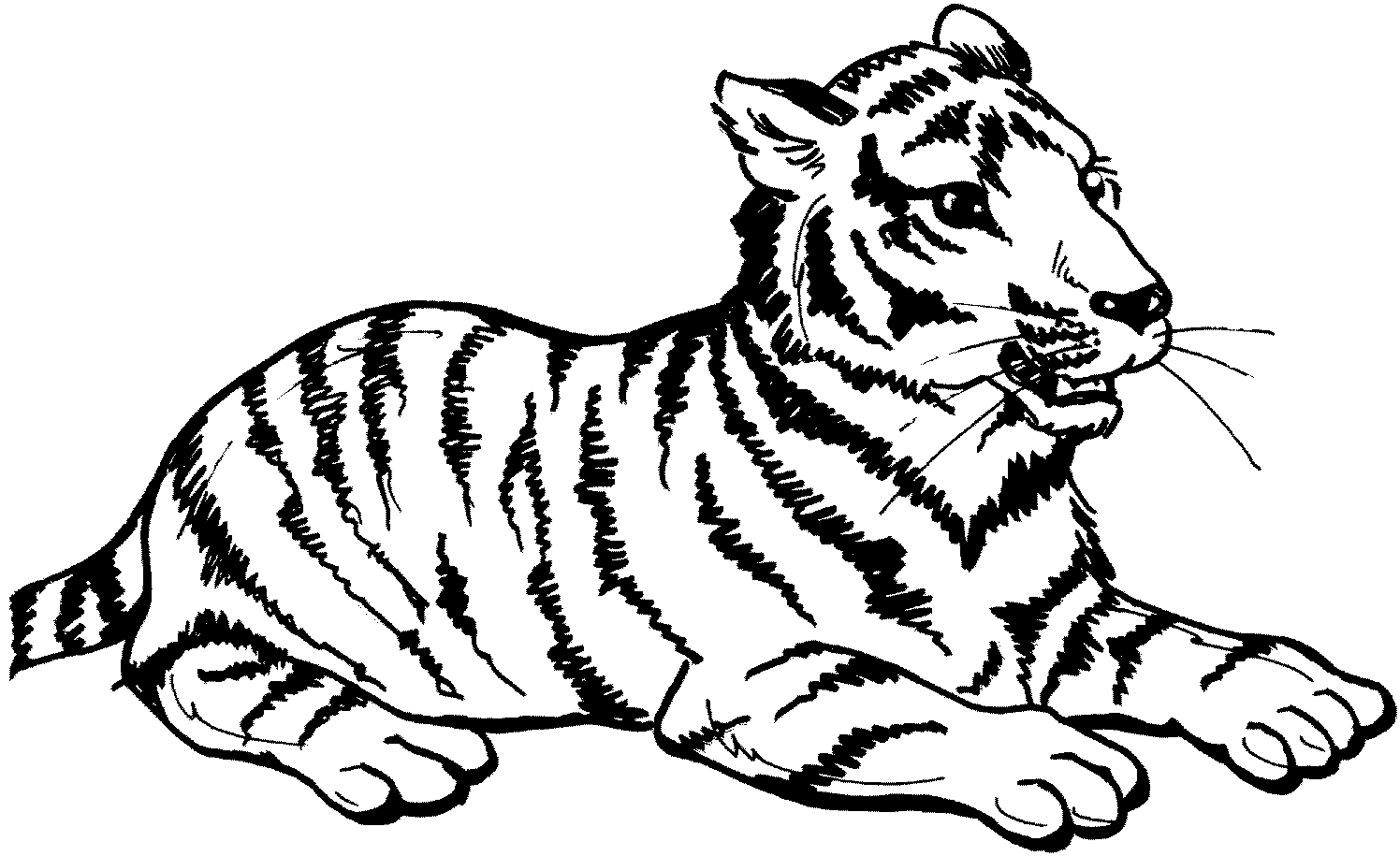 Free Tiger Coloring Pages