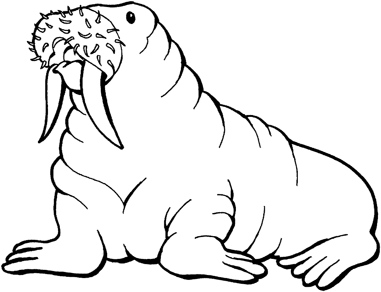 Walrus On Water Coloring Pages 8